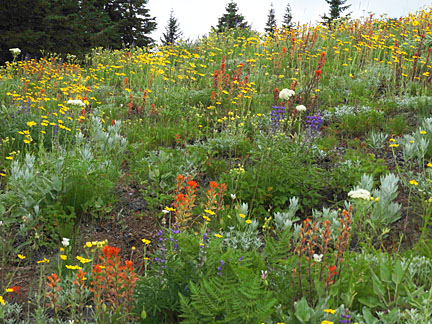 iron mtn flowers 2 small graphic